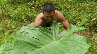 Encharcados e Pelados